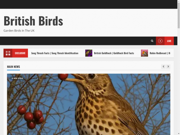 britishbirdlife.co.uk