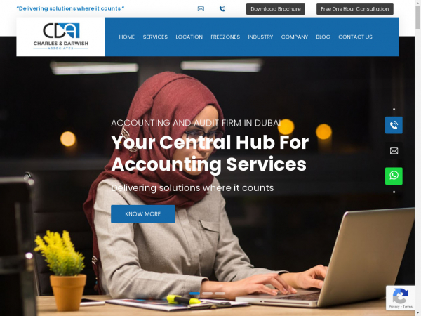 cdaaudit.com