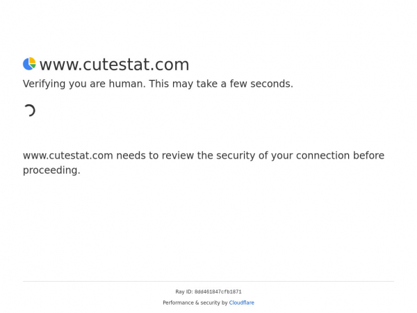 cutestat.com