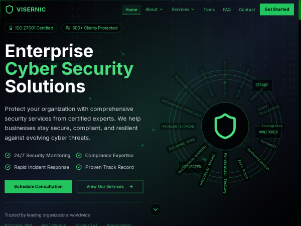 cyber.visernic.com
