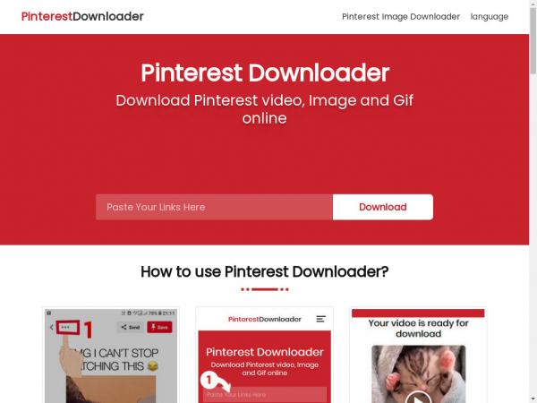 pinterestdownloader.com