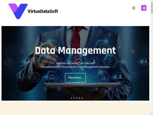 virtuedatasoft.com