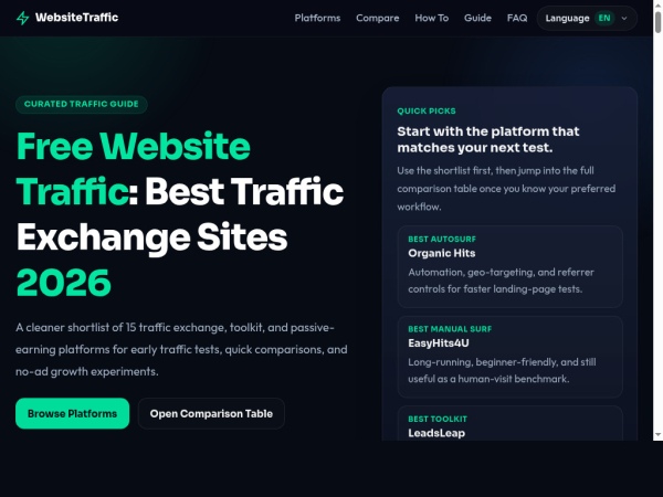 websitetraffic.42web.io