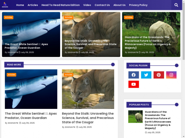 zoovate.com
