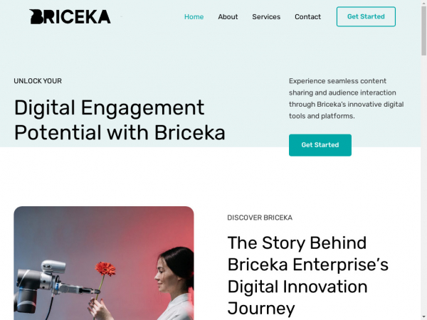 briceka.com