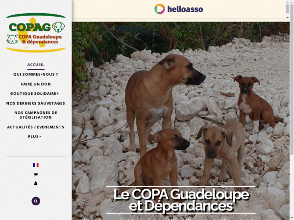 copaguadeloupe.com