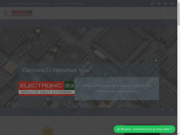 electronic33.com