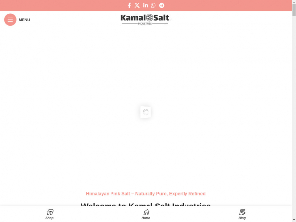 kamalsalt.com