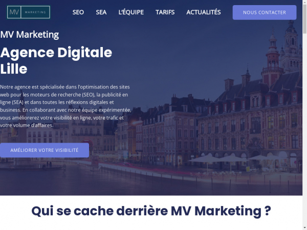 mv-marketing.fr