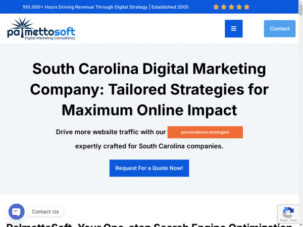 palmettosoft.com